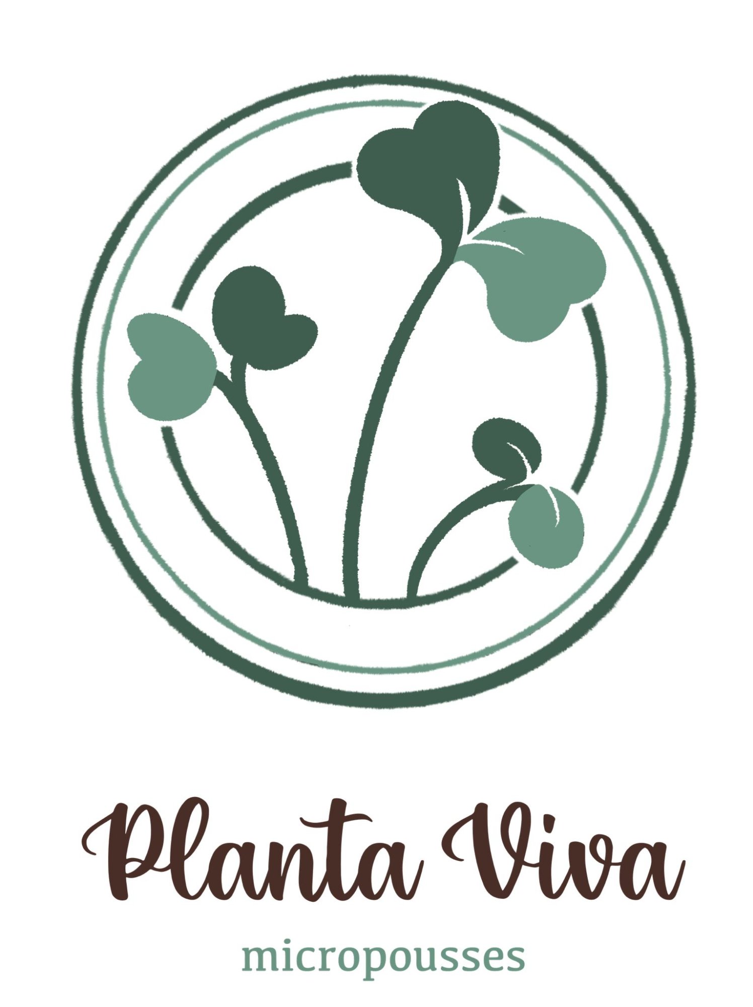 Planta Viva