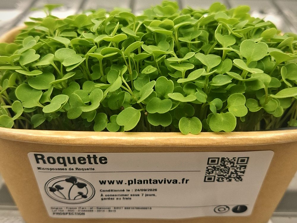 Barquette kraft de roquette, étiquetée Planta Viva